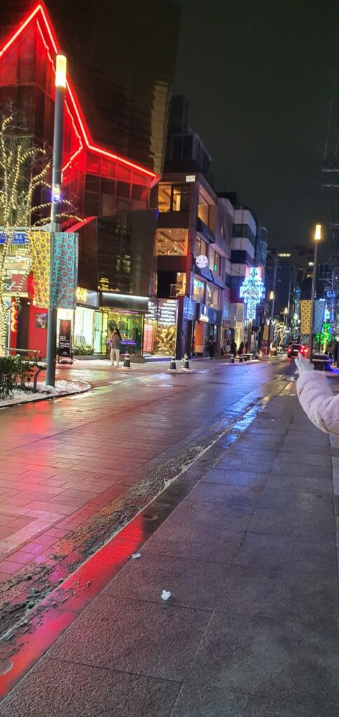 Korea Travel - Streets of Gangnam